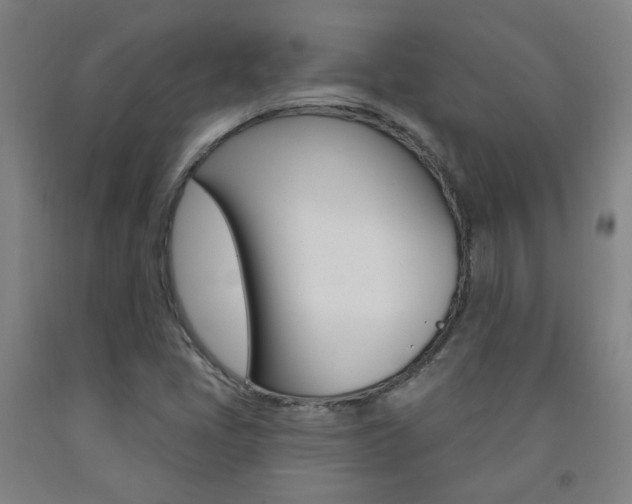 X0000093261405200709261608