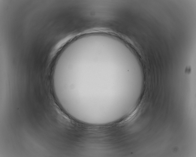 X0000093261406200709261608