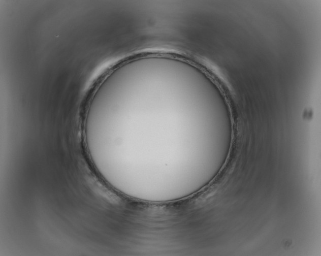 X0000093261408200709261608