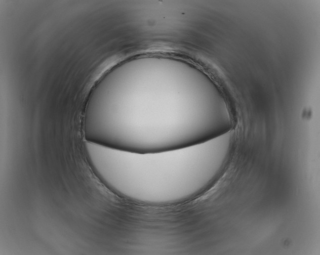 X0000093261409200709261608