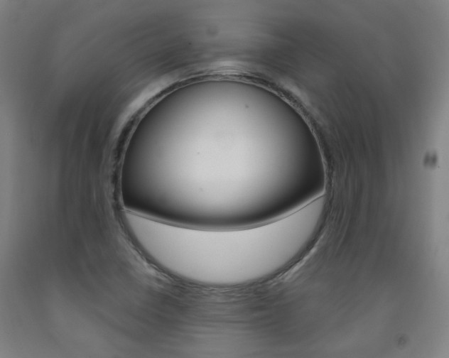 X0000093261410200709261608