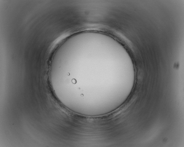 X0000093261411200709261608