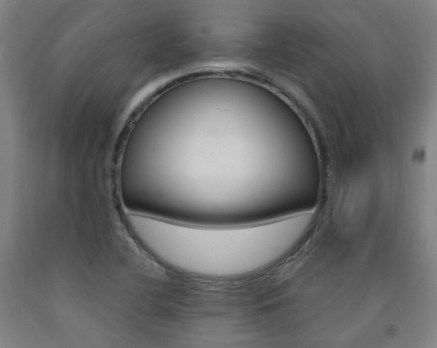 X0000093261412200709261608
