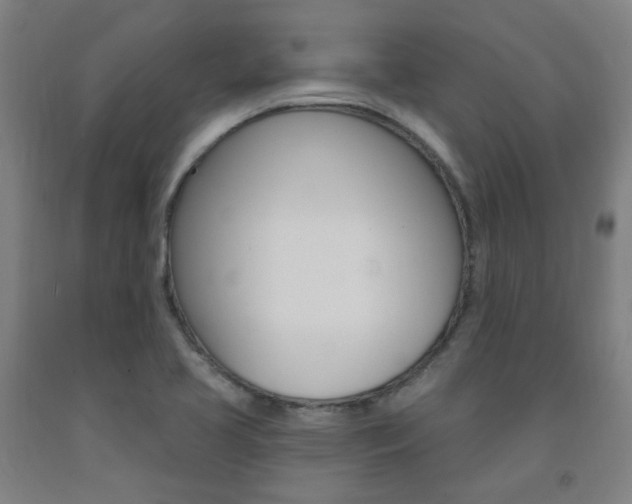 X0000093261413200709261608