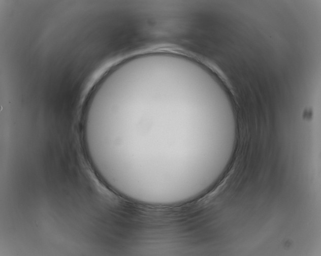 X0000093261414200709261608