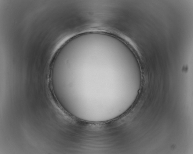 X0000093261415200709261608