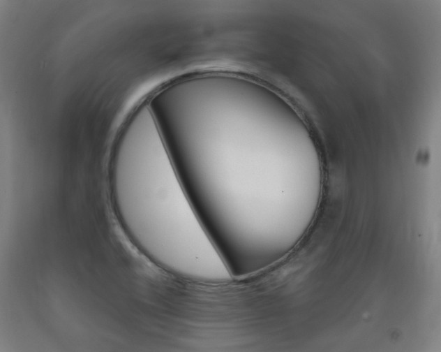 X0000093261416200709261608