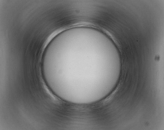 X0000093261418200709261608