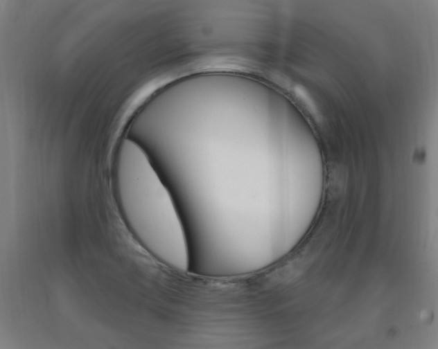 X0000093261419200709261608