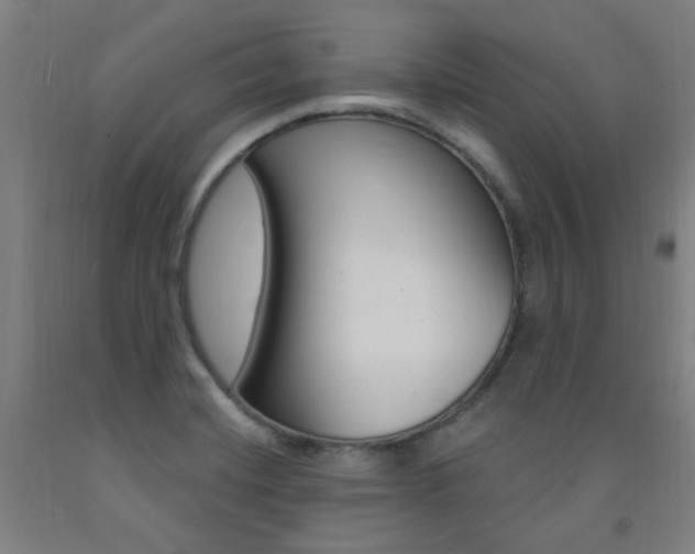 X0000093261420200709261608