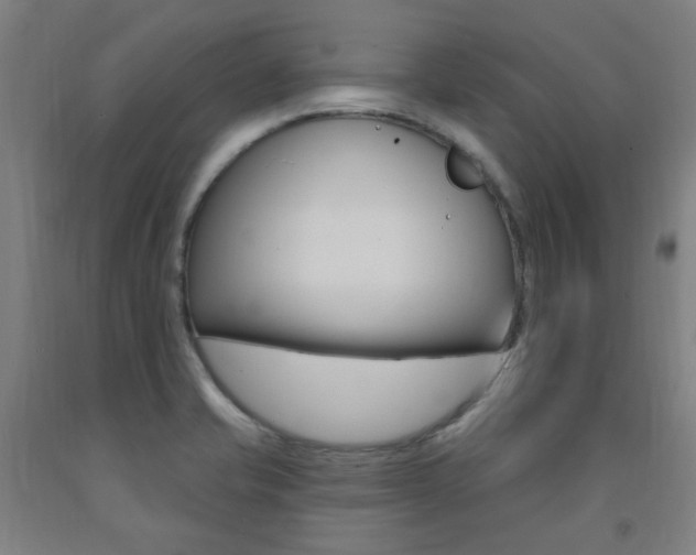 X0000093261421200709261608