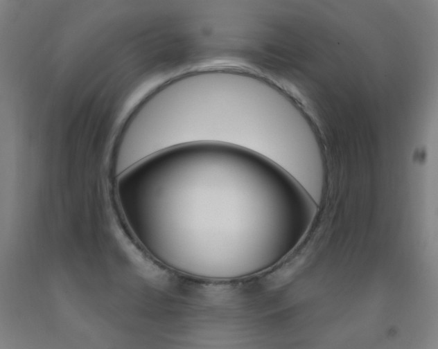 X0000093261422200709261608