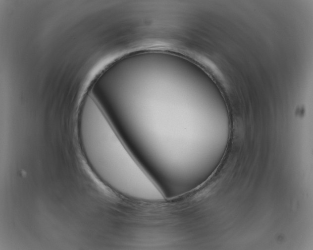X0000093261424200709261608