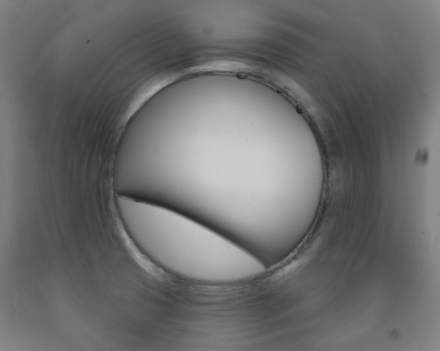 X0000093261425200709261608