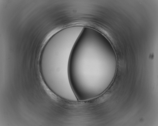X0000093261426200709261608