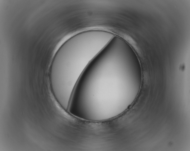 X0000093261428200709261608