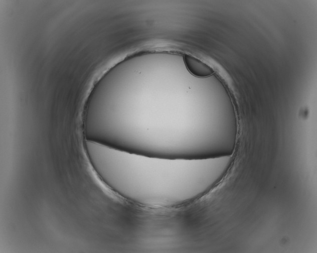X0000093261429200709261608