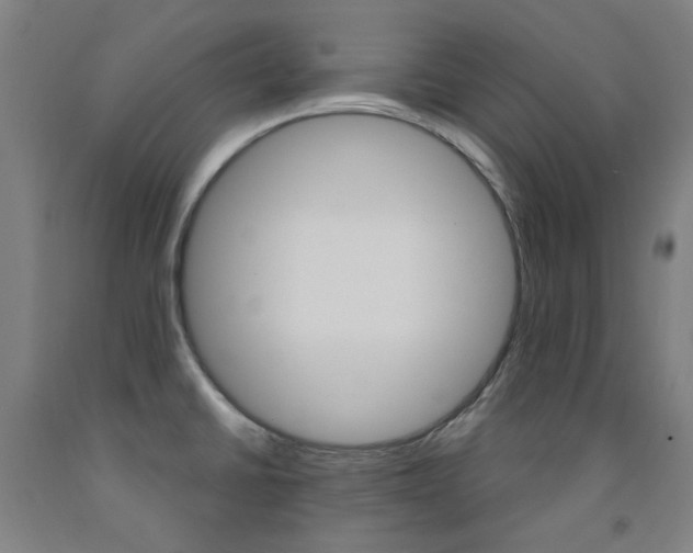X0000093261430200709261608