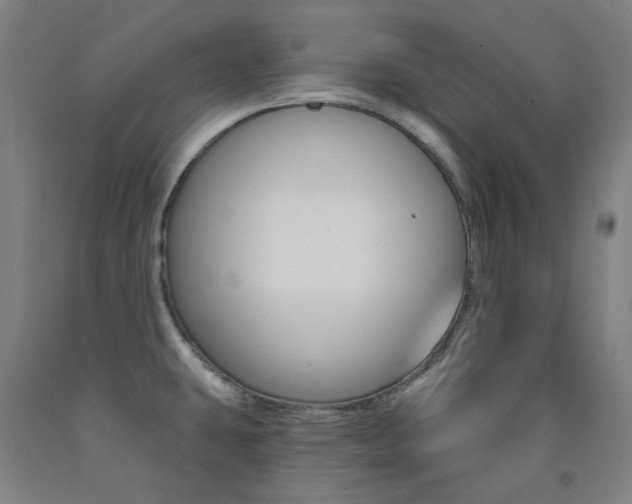 X0000093261431200709261608