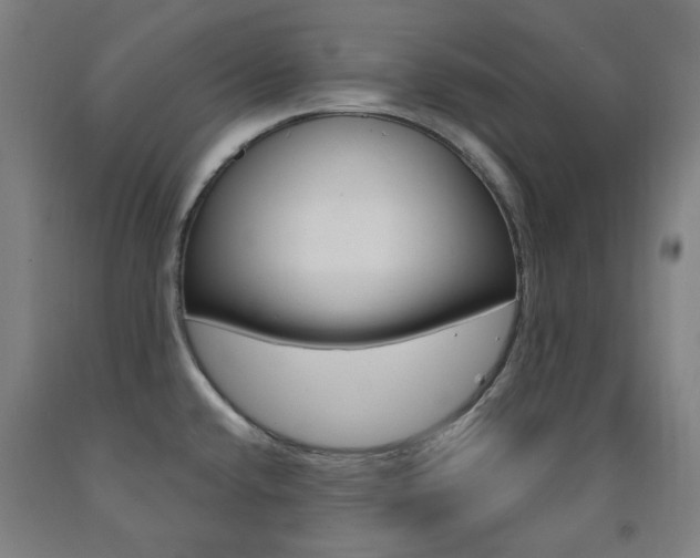 X0000093261432200709261608