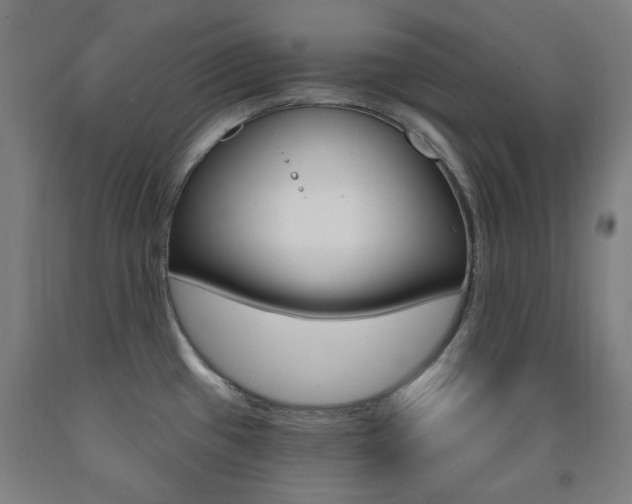 X0000093261433200709261608