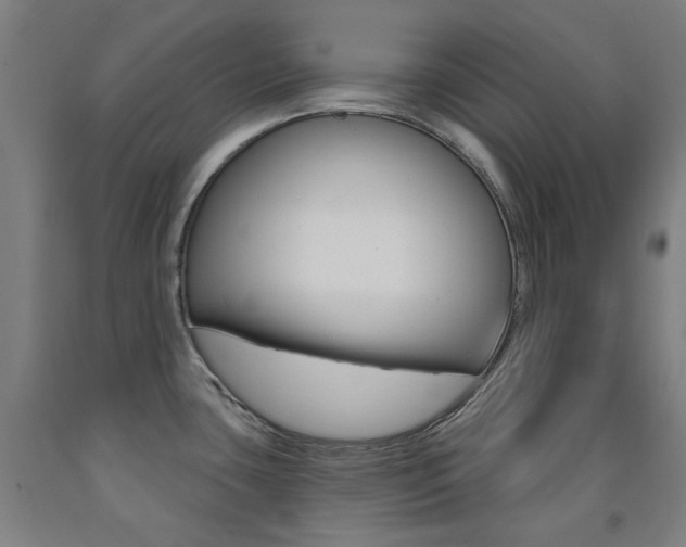 X0000093261435200709261608