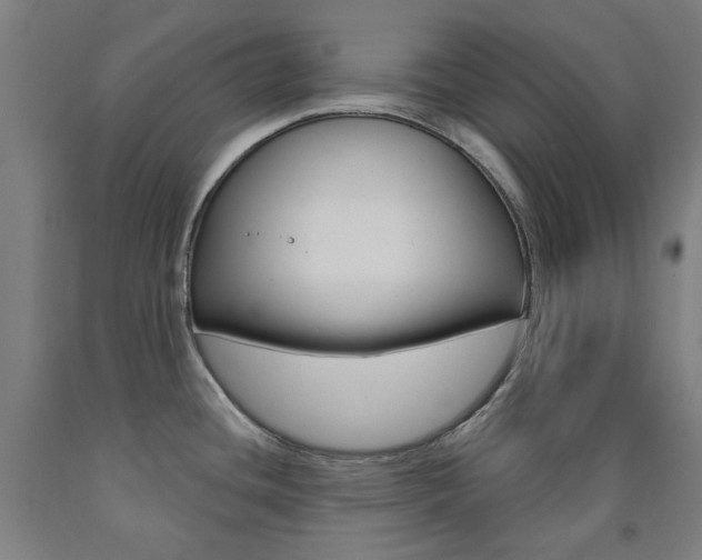X0000093261436200709261609