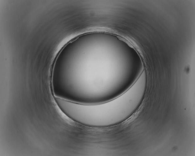 X0000093261438200709261609