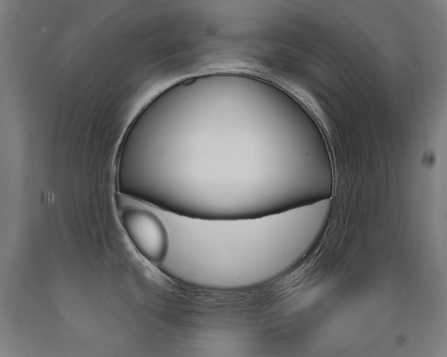 X0000093261439200709261609