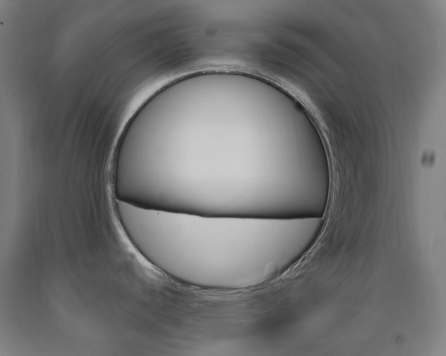 X0000093261440200709261609