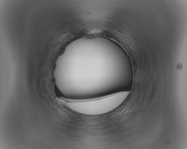 X0000093261441200709261608