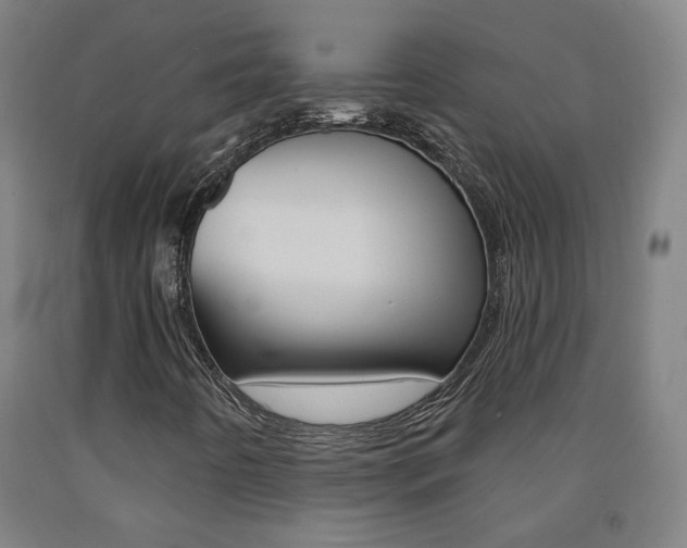 X0000093261442200709261608