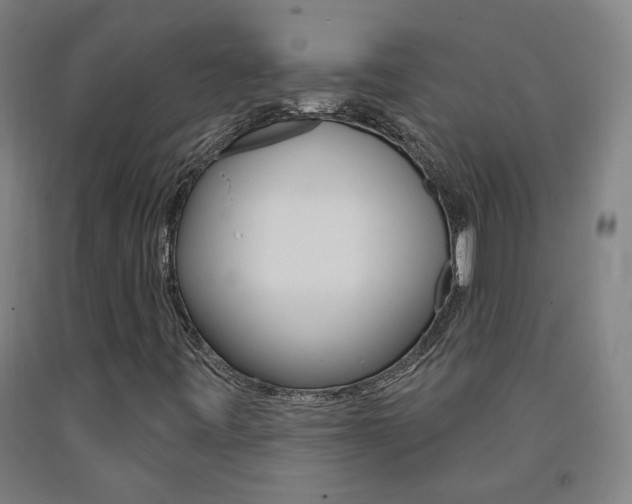 X0000093261443200709261608