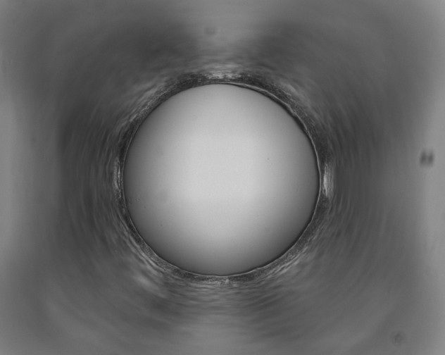X0000093261444200709261608
