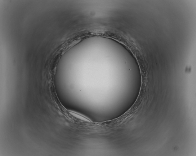 X0000093261445200709261608