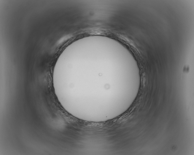 X0000093261446200709261608