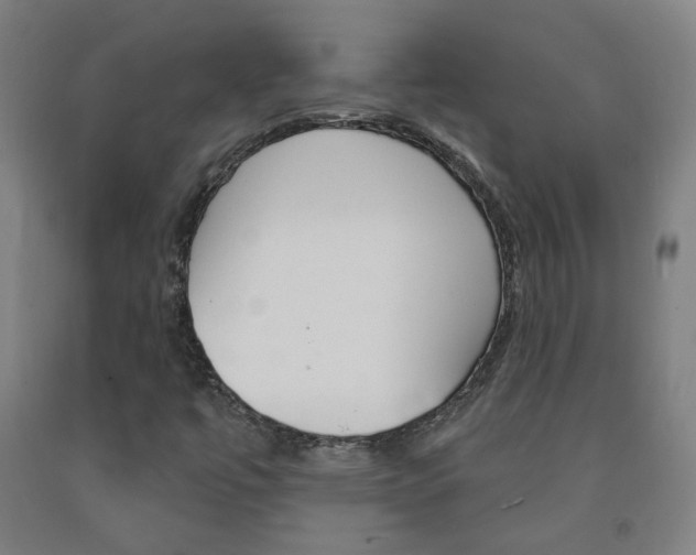X0000093261447200709261608
