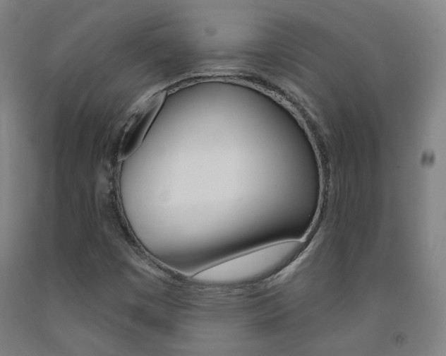 X0000093261449200709261608