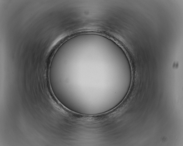 X0000093261450200709261608