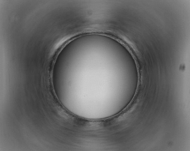 X0000093261453200709261608