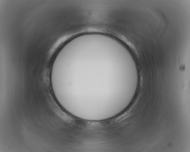 X0000093261454200709261608