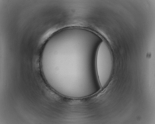 X0000093261455200709261608