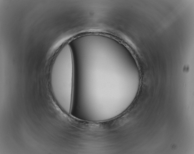 X0000093261456200709261608