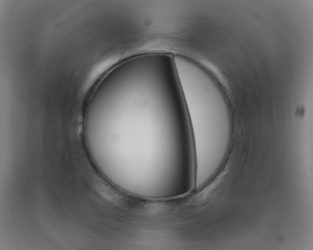 X0000093261461200709261608