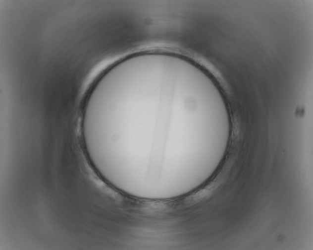 X0000093261462200709261608