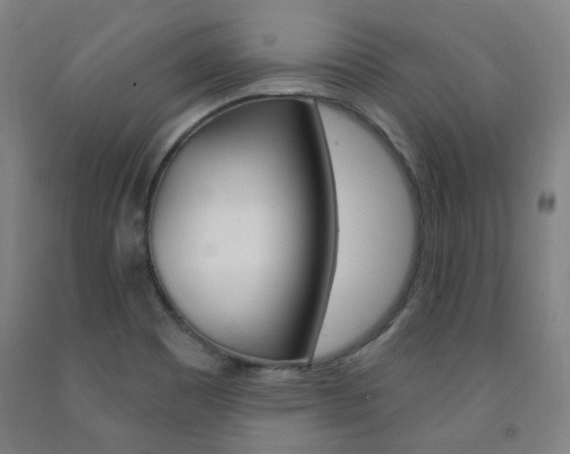 X0000093261465200709261608
