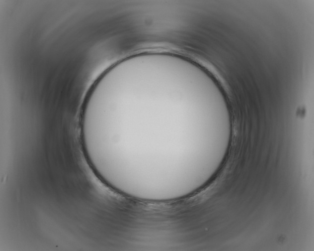 X0000093261466200709261608