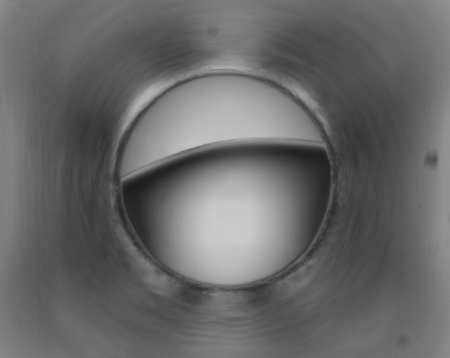 X0000093261469200709261608