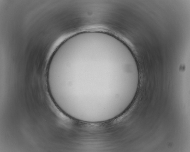 X0000093261470200709261608