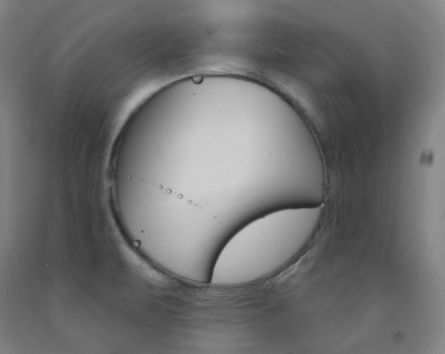 X0000093261471200709261608